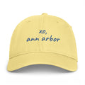 ann arbor cap / ann arbor yellow + blue