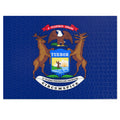 Michigan Flag puzzle