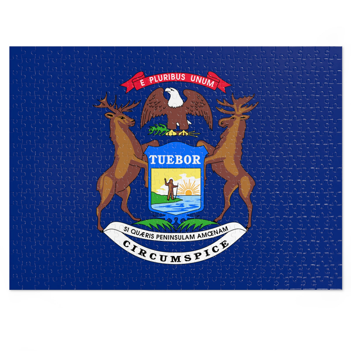 Michigan Flag puzzle