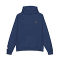 michigan hoodie / ann arbor yellow + blue